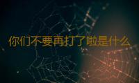 你们不要再打了啦是什么梗 